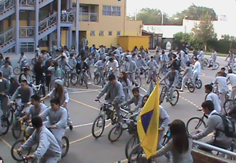 Vida Sana