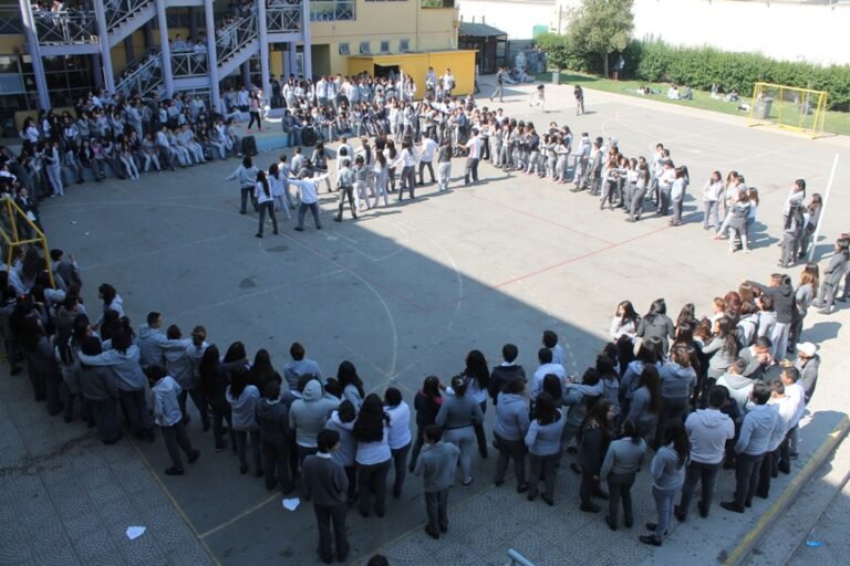 Los Talleres de 2014 de Novo Horizonte