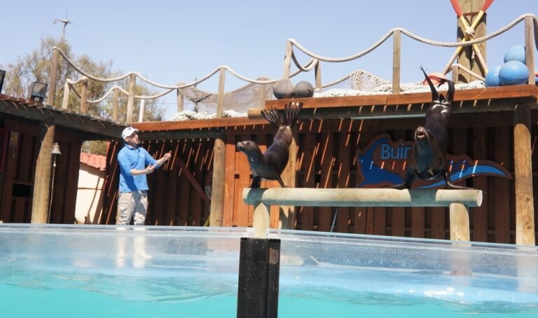 Reportaje gráfico: Un Día en el Buin Zoo