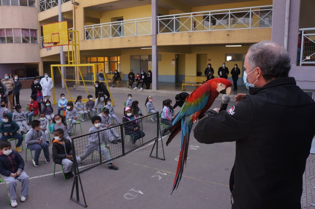 Así fue la inolvidable charla educativa de «Selva Viva» en Novo Horizonte
