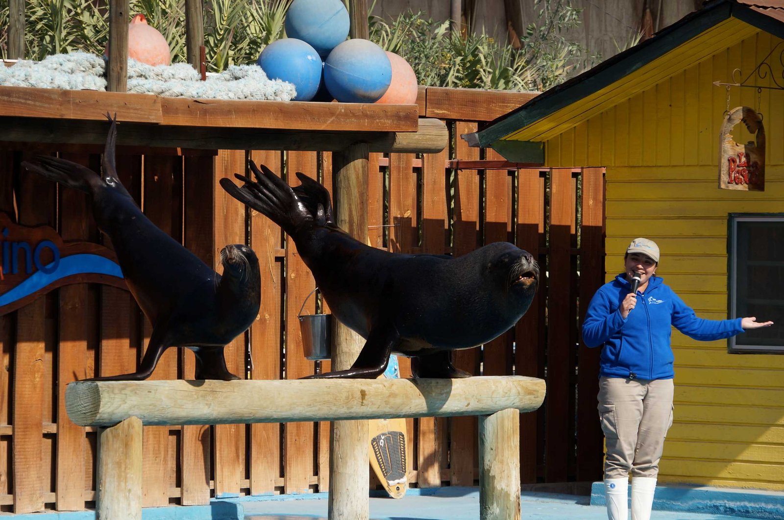 1eros Medios reforzaron sus conocimientos con salida pedagógica al Buin Zoo