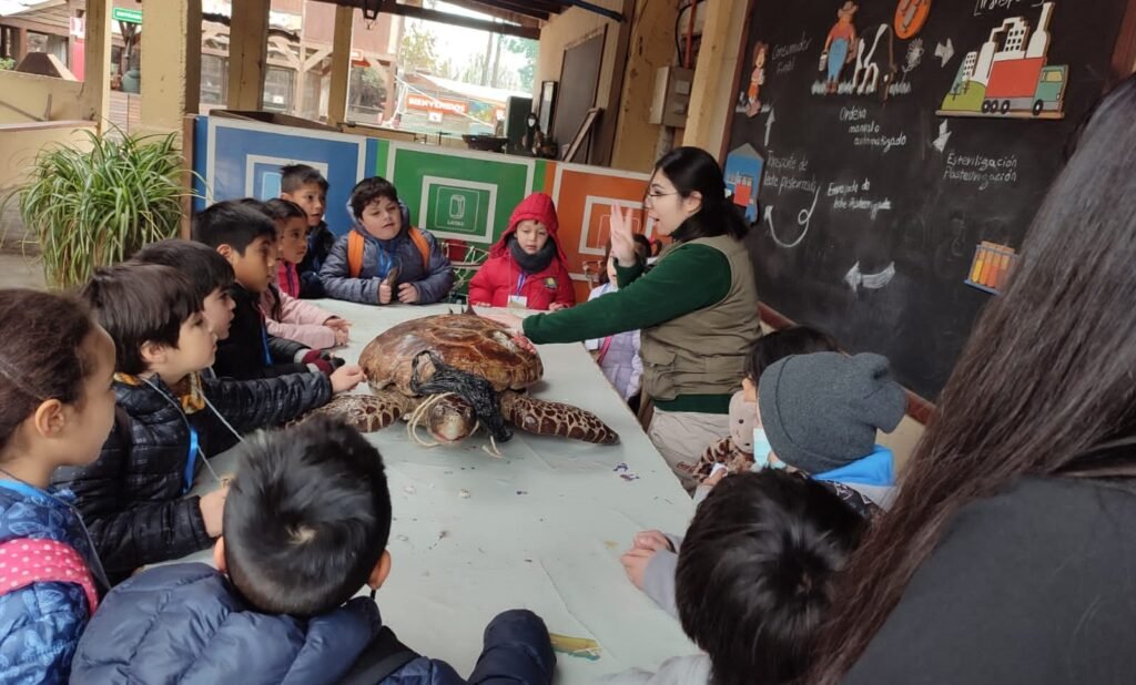 Salidas pedagógicas: 1° Básico vivió increíble experiencia en el Buin Zoo